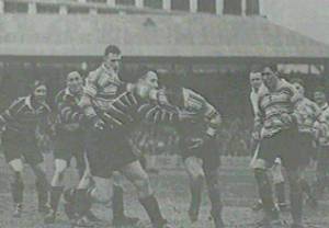 St George rugby league history 1941